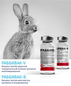 Вакцина от болезней кроликов Раббивак