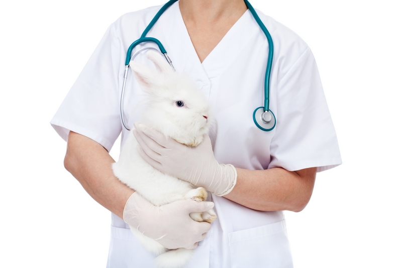 Вакцины для кроликов