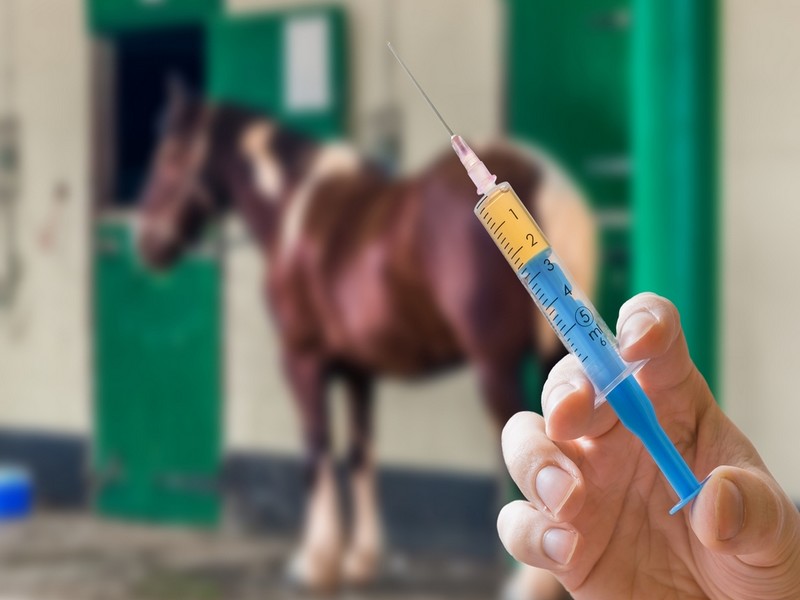 Внутривенный препарат для лошадей